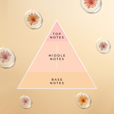 blog-widget