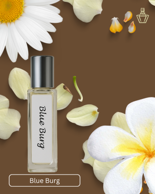 blog-widget